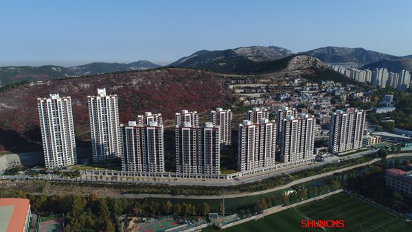 百家乐